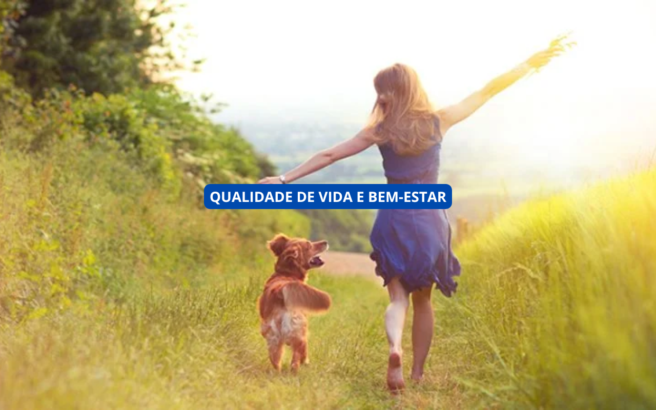 O Impacto do Minimalismo na Sua Qualidade de Vida e Bem-Estar